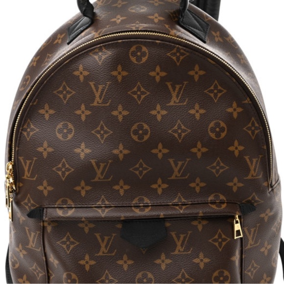 Louis Vuitton Monogram Palm Springs Backpack MM - Picture 6 of 9